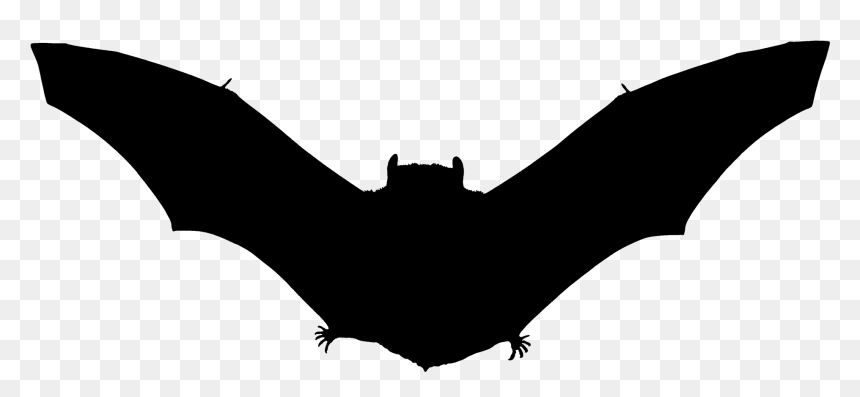 Bat Silhouette Png - Fledermaus Im Vollmond, Transparent Png - bat silhouette png