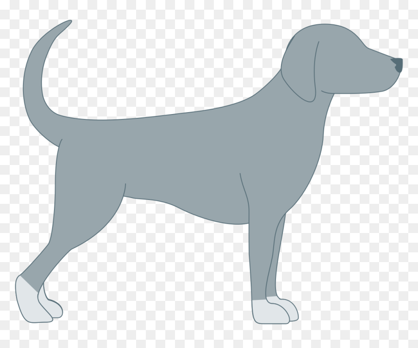 Dog Face Png - Harrier, Transparent Png - dog face png