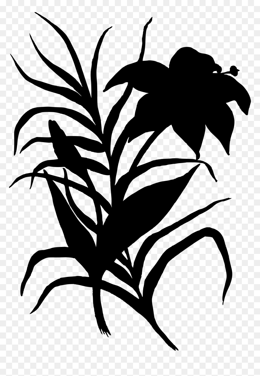 Flower 3 Clip Arts - Natural Flowers Images Hd Download, HD Png Download - flower silhouette png
