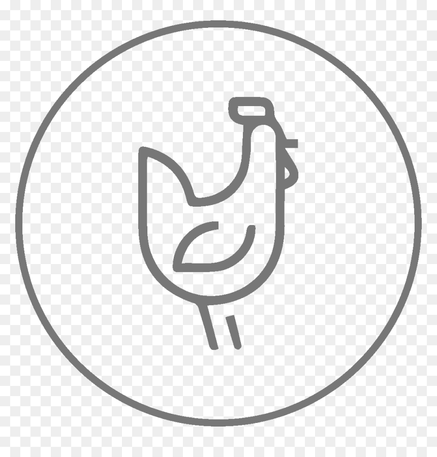 Poultry Semen Processing - Drawing, HD Png Download - semen png