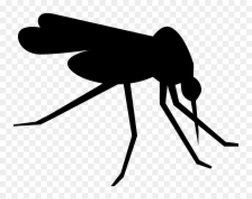 Mosquito Computer Icons Clip Art - Transparent Background Mosquito Icon, HD Png Download - mosquito png