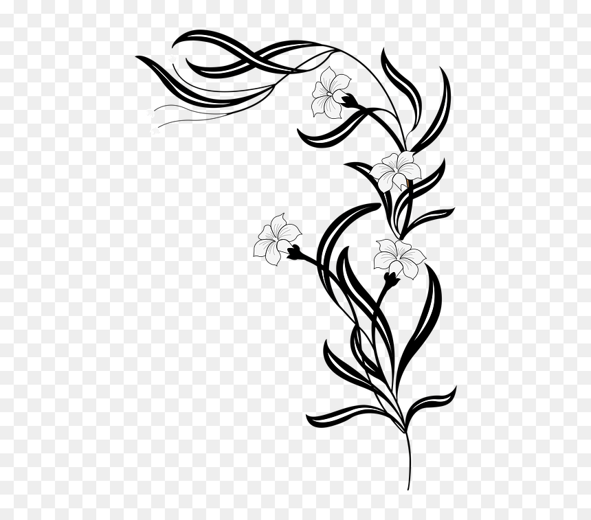 Flower Vine Clip Art Black And White , Png Download - Flower Png Black And White, Transparent Png - flower vine png