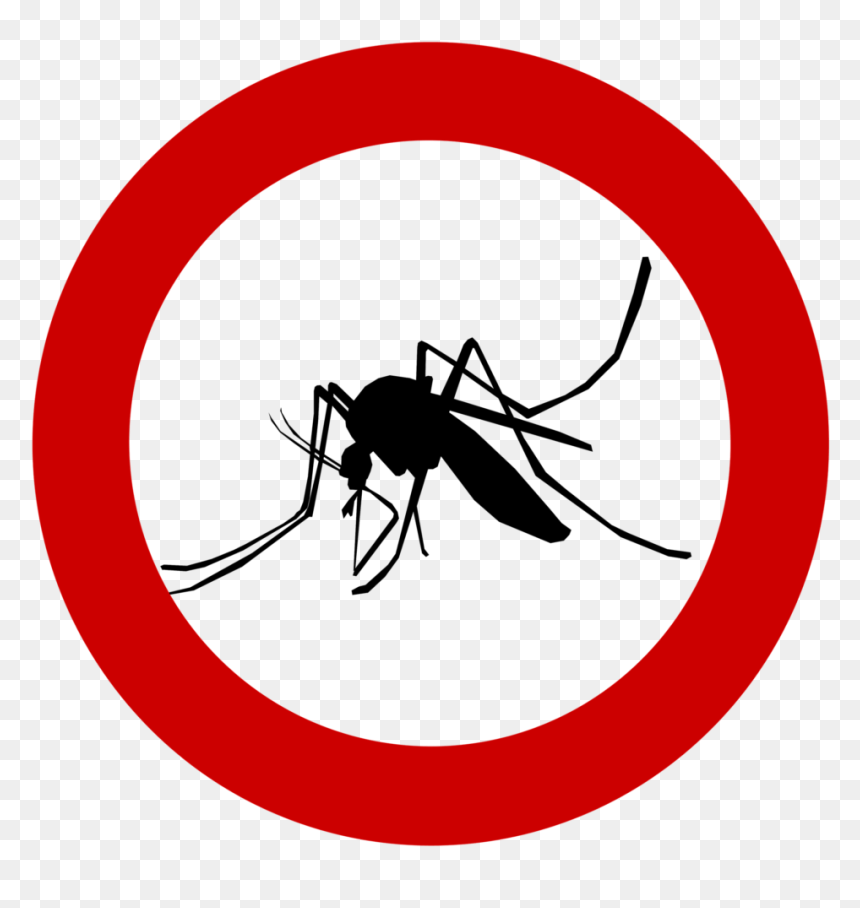 Mosquito Png 7, Buy Clip Art - Russell Square Tube Station, Transparent Png - mosquito png