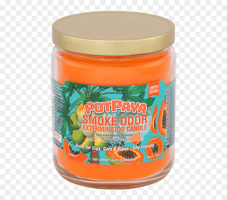 Iguana, HD Png Download - cigar smoke png