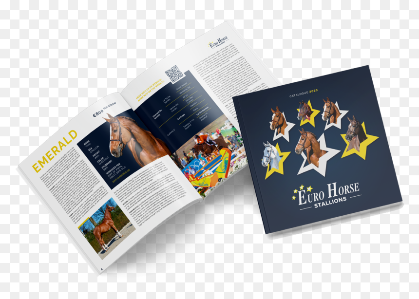 Cataloog - Flyer, HD Png Download - semen png