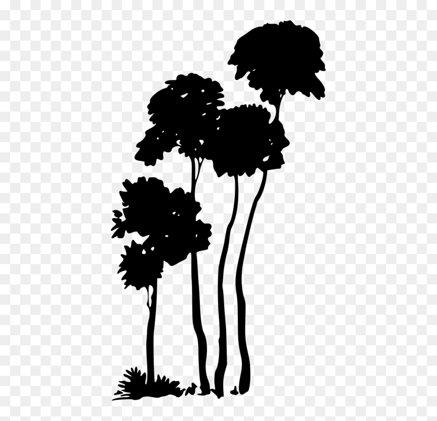 Plant,flower,silhouette - Cinderella Arthur Rackham, HD Png Download - flower silhouette png