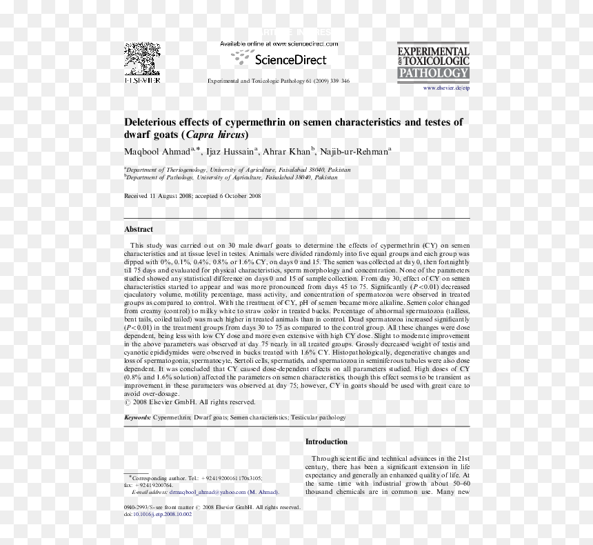 Document, HD Png Download - semen png