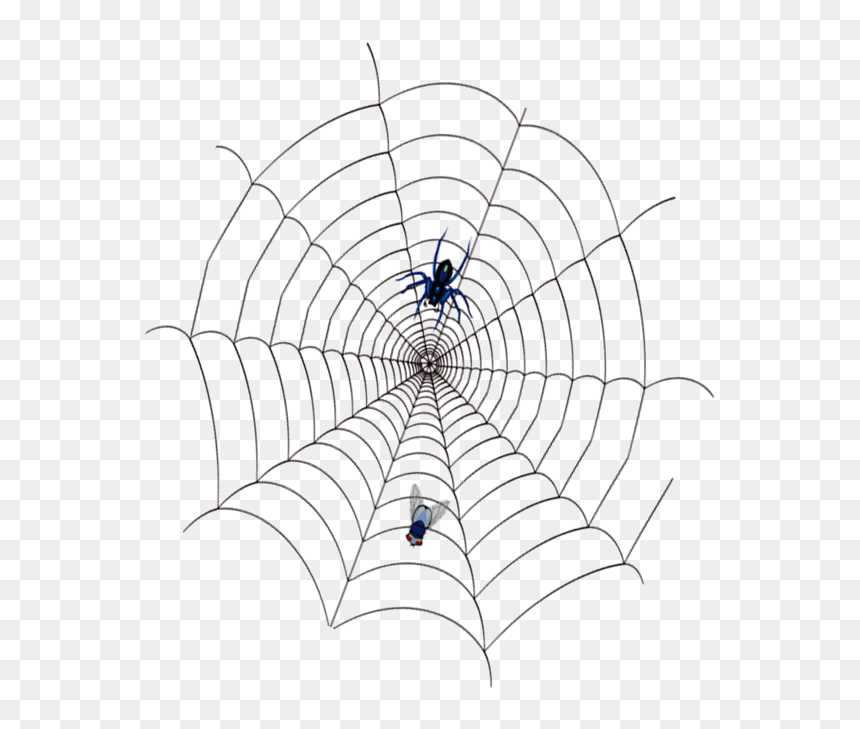 Spider,cobweb Png Download - Telaraña Con Su Presa, Transparent Png - cobweb png