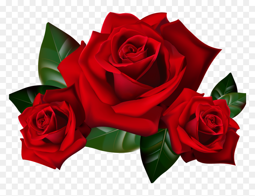 Red Roses Clipart, HD Png Download - png wallpaper