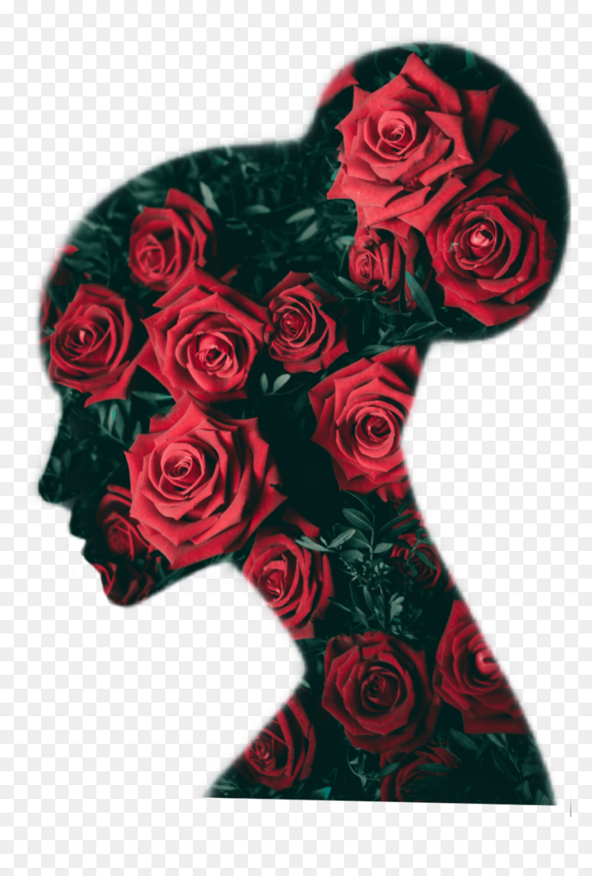 #portrait #roses #woman #flower #silhouette 
@ronaldbirdhenley - Garden Roses, HD Png Download - flower silhouette png