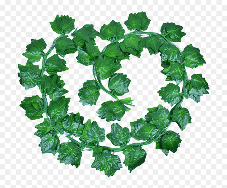 Angelica, HD Png Download - flower vine png
