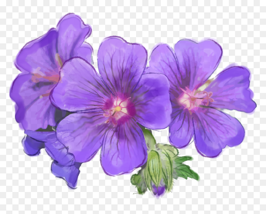 Purple Flowers Download - Purple Flowers Painted Png, Transparent Png - flower vine png