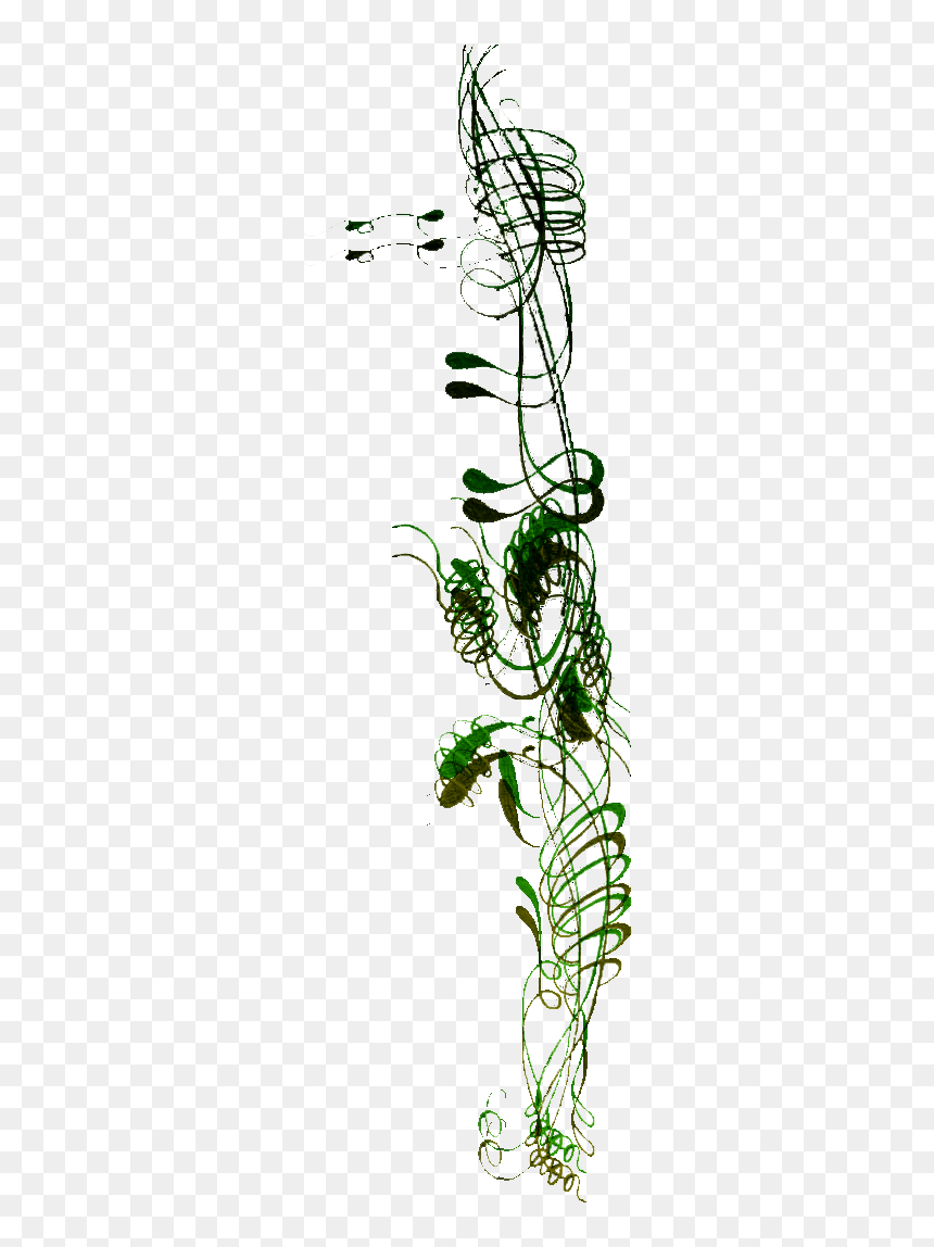 Health4 - Illustration, HD Png Download - health bar png