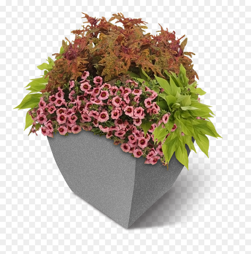 Square Commercial Planter W-flowers, HD Png Download - planter png