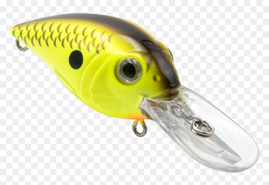 Bait Fish, HD Png Download - fishing hook png