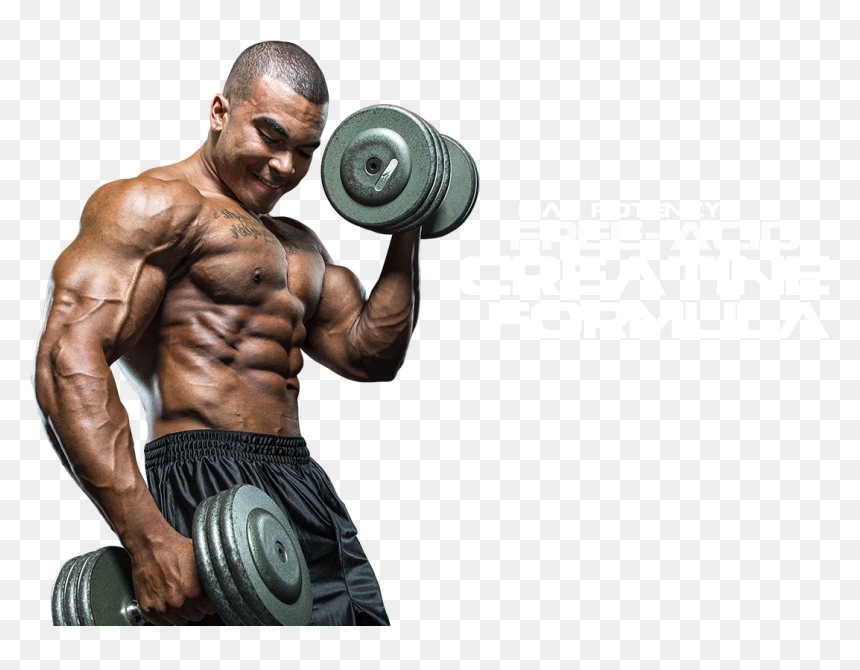 Weight Lifting Png Hd - Bodybuilding Gym Food Chart, Transparent Png - weights png