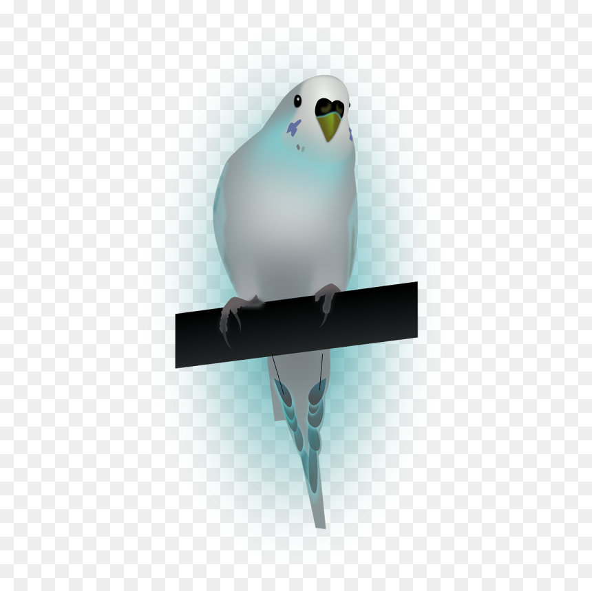 Bird,dove,dove Of Peace,peace - Birds, HD Png Download - paloma png