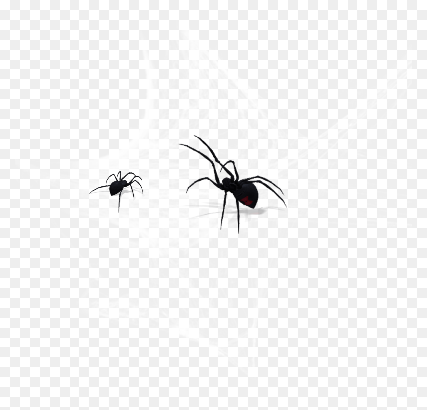 #cobweb #spider - Black Widow, HD Png Download - cobweb png