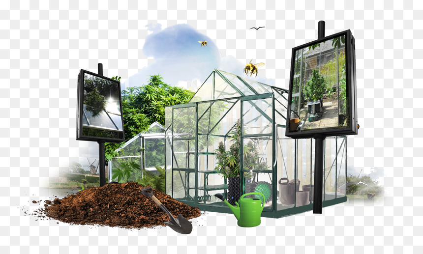 House, HD Png Download - weed plant png