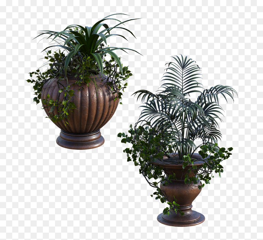 Houseplant, HD Png Download - planter png