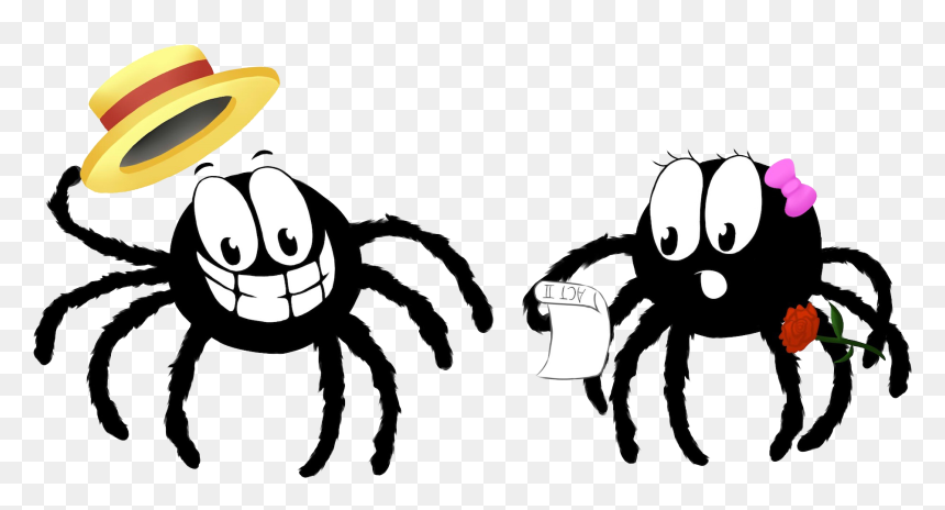 Cobweb Drama - Cartoon Spider, HD Png Download - cobweb png