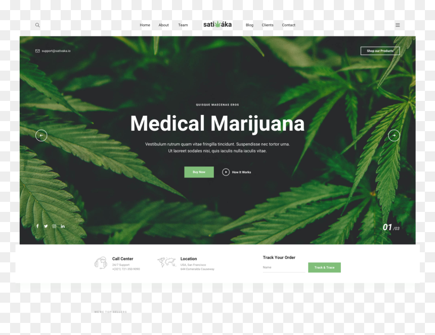 350409398 - Dispensary Websites, HD Png Download - weed plant png