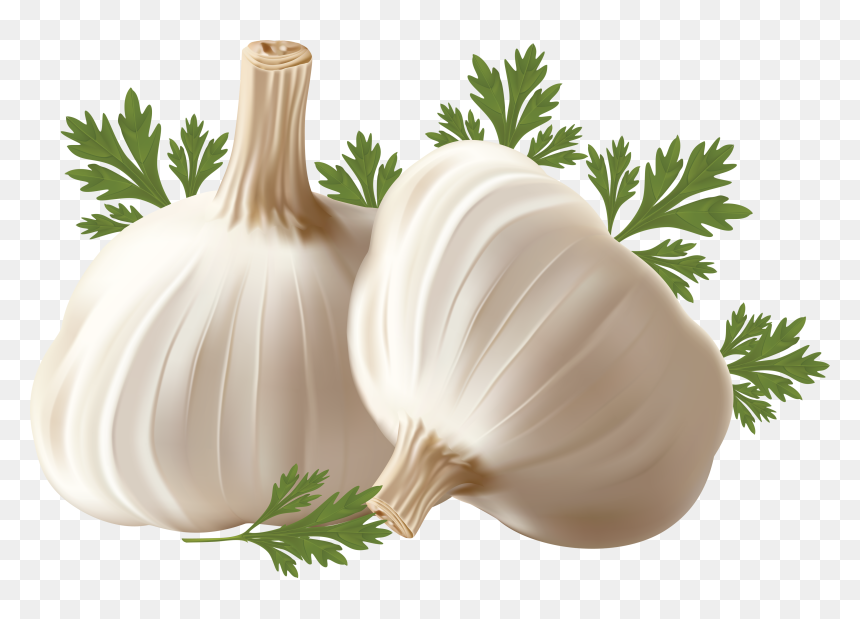 Garlic Png, Transparent Png - garlic png
