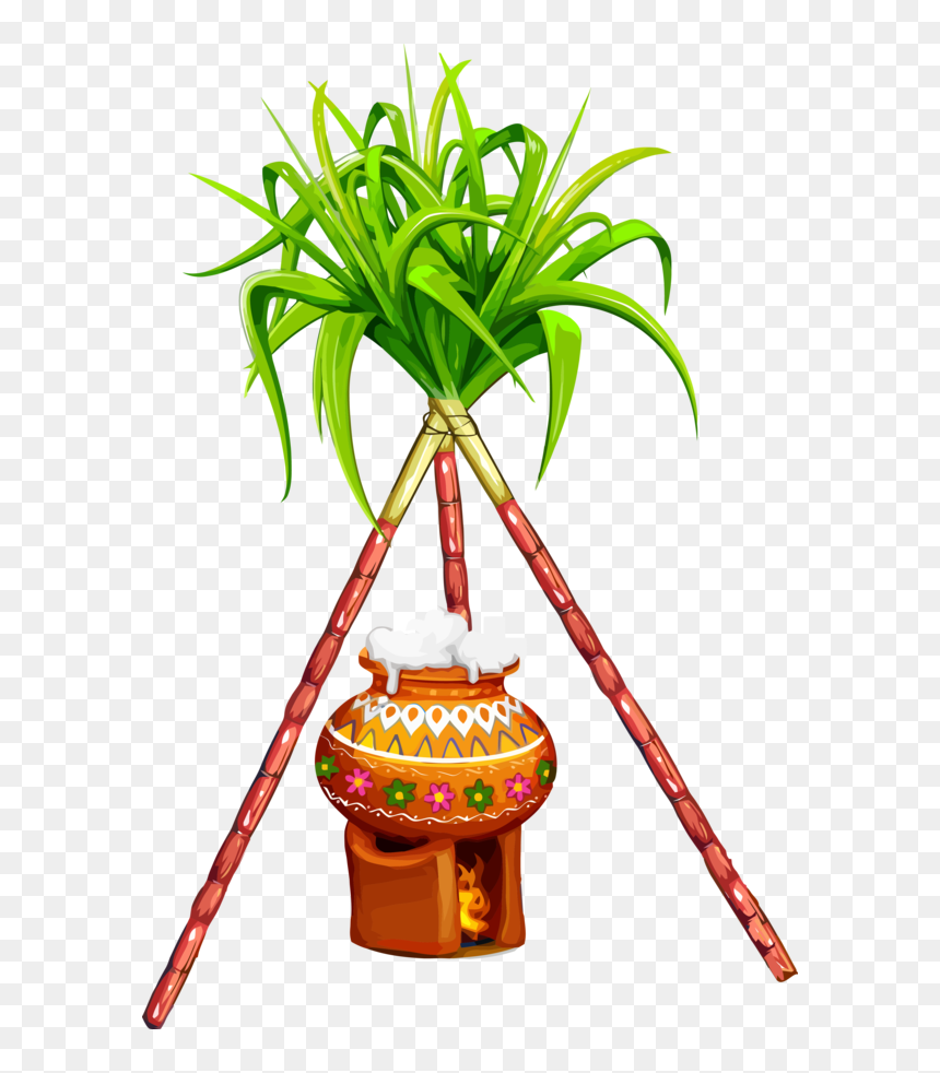 Transparent Pongal Flowerpot Houseplant Plant For Thai - Sugarcane Png, Png Download - house plant png