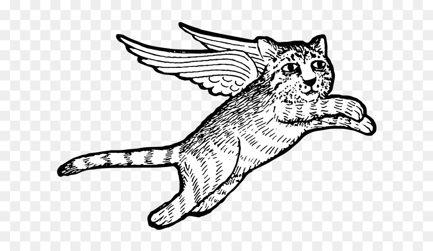 Sketch, HD Png Download - flying cat png