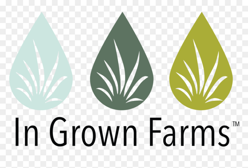 Weed Plant Png, Transparent Png - weed plant png