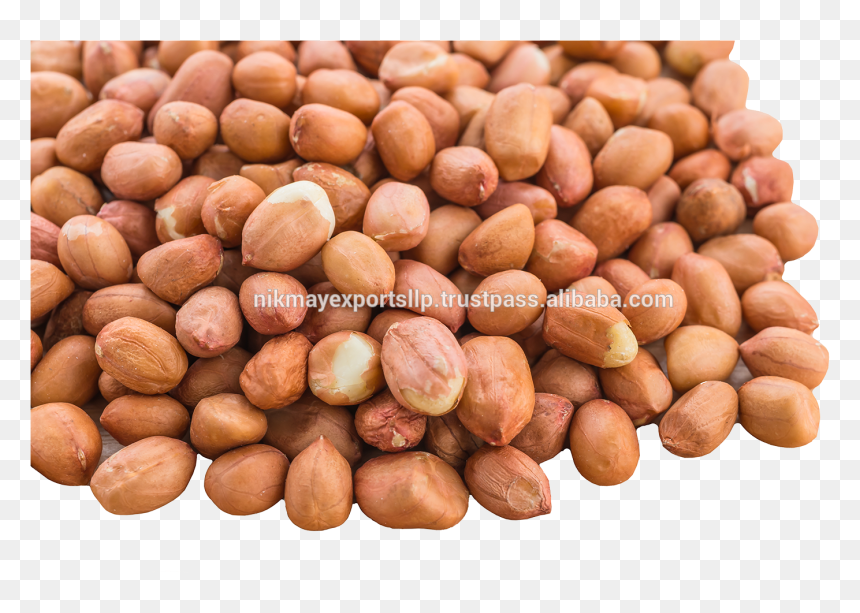 Peanut , Png Download - Peanuts Transparent Background, Png Download - peanut png