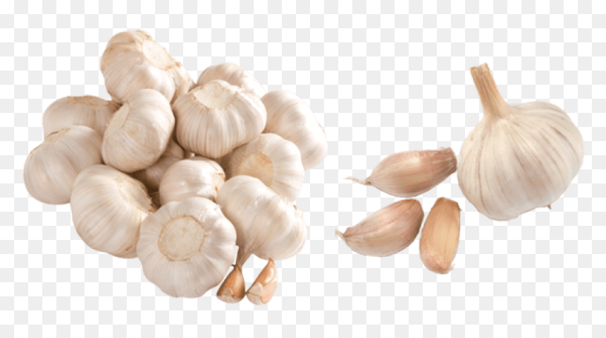 Free Png Images - Garlic Png, Transparent Png - garlic png