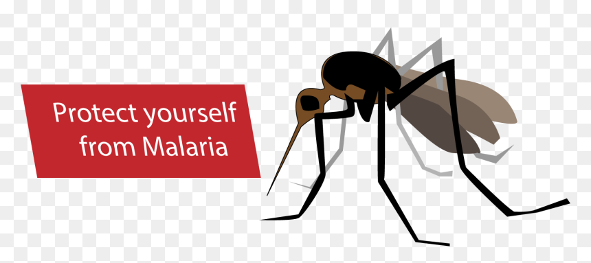 Malaria Mosquito Clipart Png - Malaria Clipart, Transparent Png - mosquito png