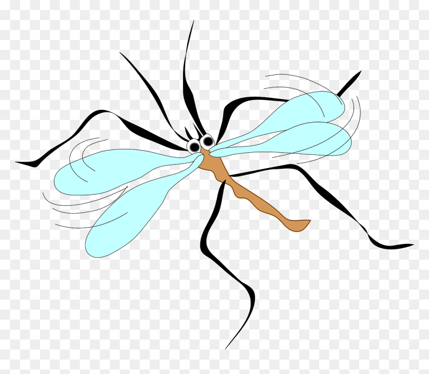 Mosquito Clip Art, HD Png Download - mosquito png