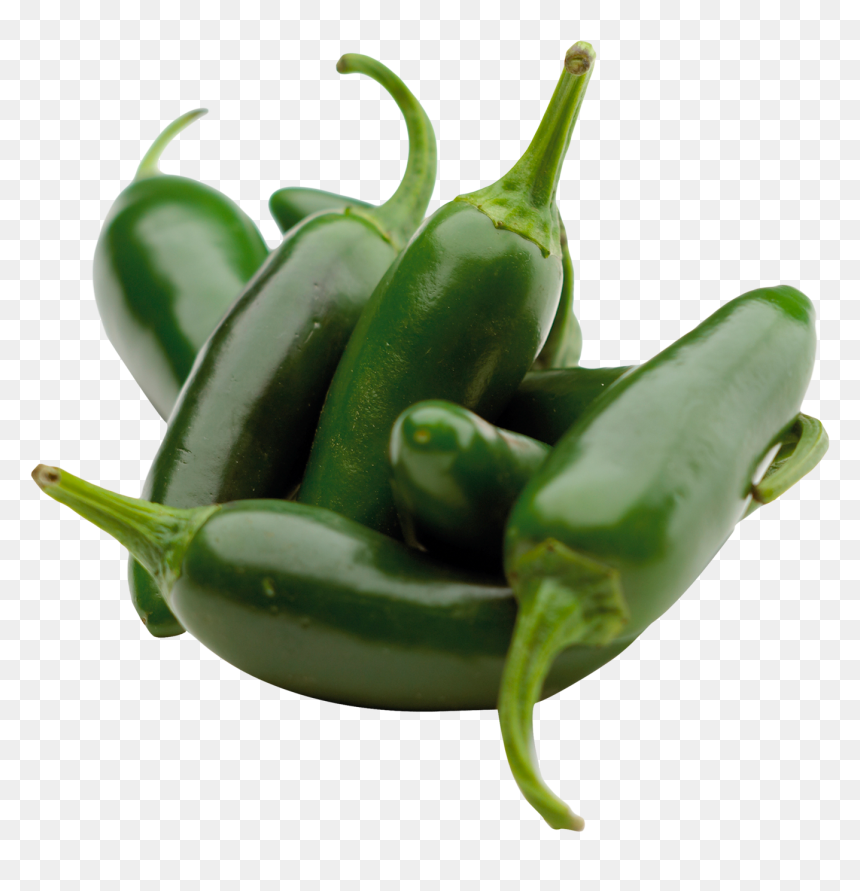 Green Chili Pepper - Transparent Jalapeno Pepper Png, Png Download - chili png