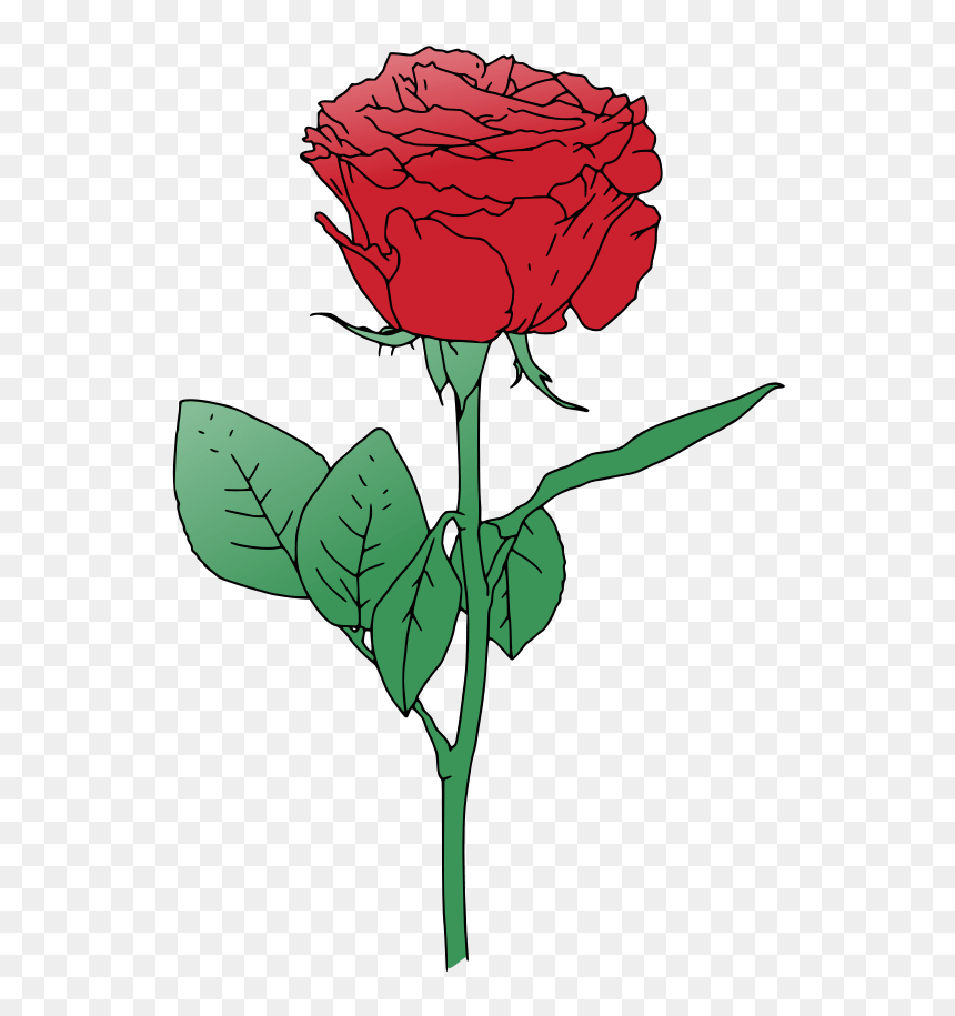 Red Vector Rooweb - Transparent Rose Vector Png, Png Download - single rose png