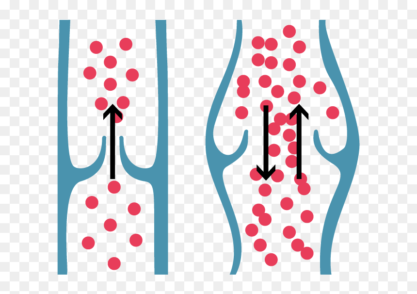 Healthy Vein Valve & Correct Blood Flow Shown On The - Vein Clipart Png, Transparent Png - veins png