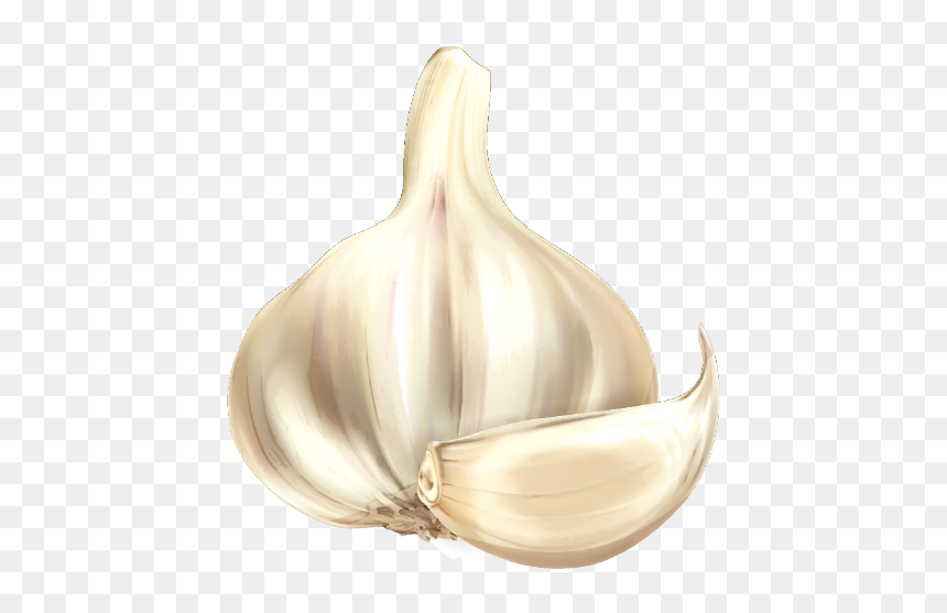 Garlic Cartoon Vegetable - Cartoon Image Of Garlic, HD Png Download - garlic png