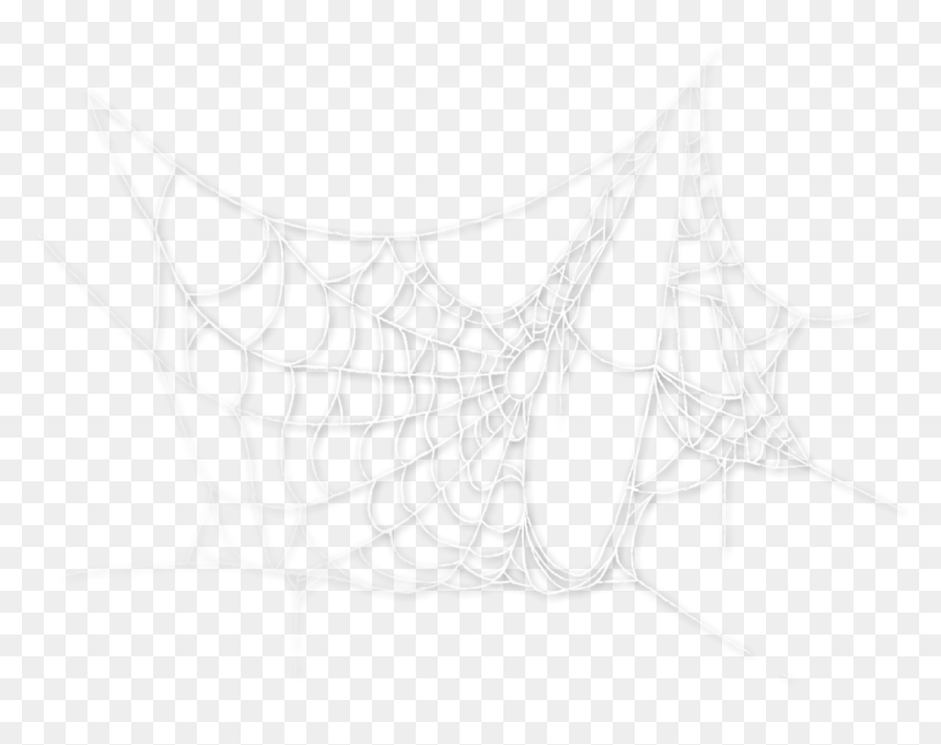 #spider #spiderweb #cobweb #spooky #halloween - Spider Web, HD Png Download - cobweb png