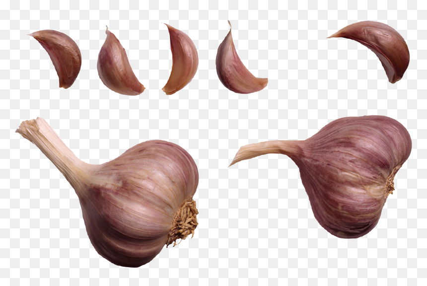 Garlic - Remedies For Warts, HD Png Download - garlic png