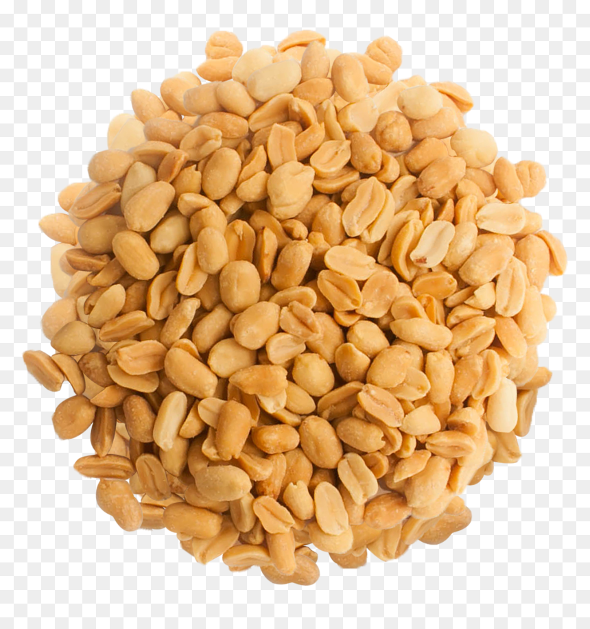 Peanut Png - Peanuts Png, Transparent Png - peanut png