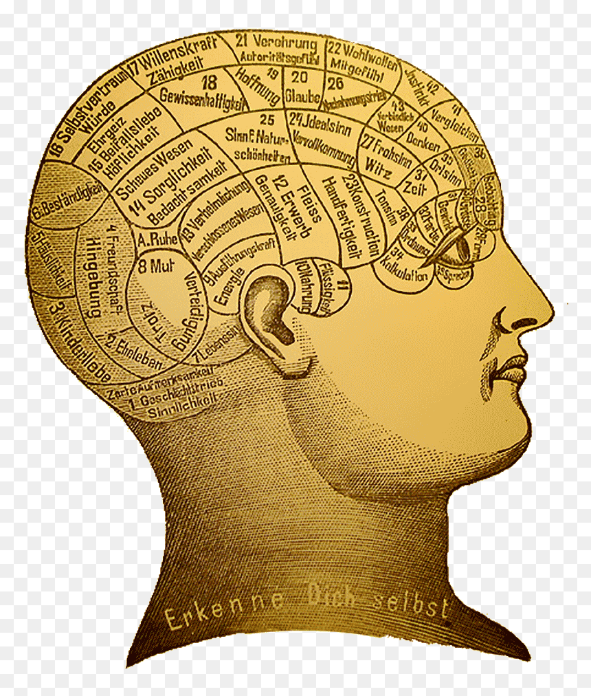 File - Phrenology - Wikimedia Commons - Historical Psychology, HD Png Download - psychology png