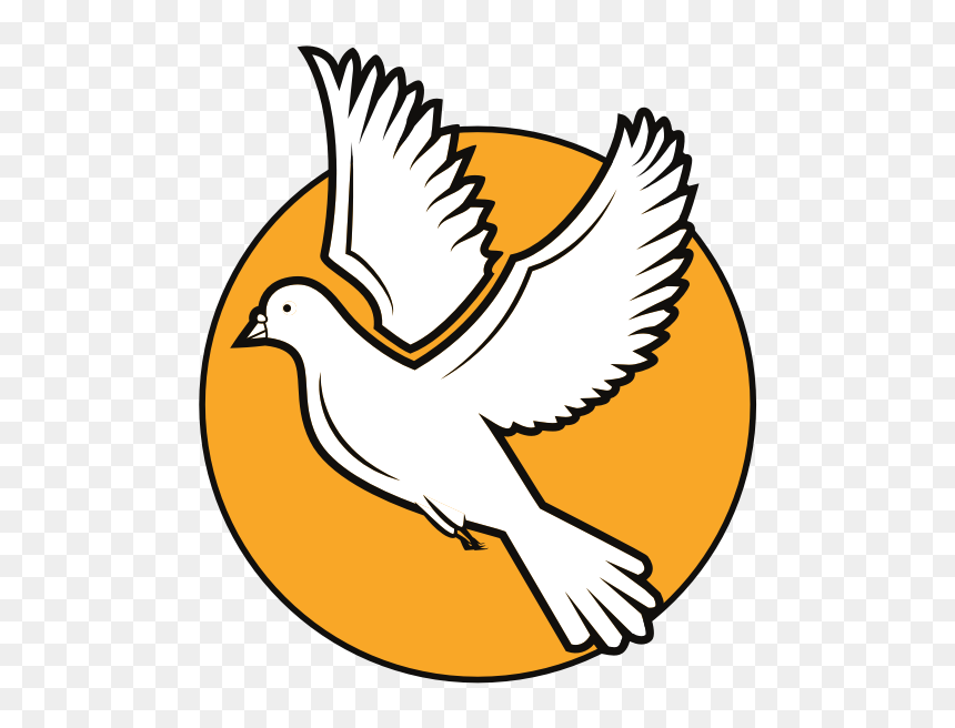 White Dove-1578931471 - Ave De La Paz Png, Transparent Png - white dove png