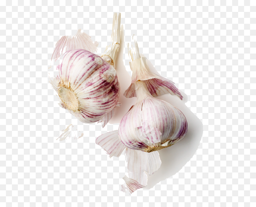 Shrimp, Flour, Garlic, Oregano And Thyme - Garlic, HD Png Download - garlic png