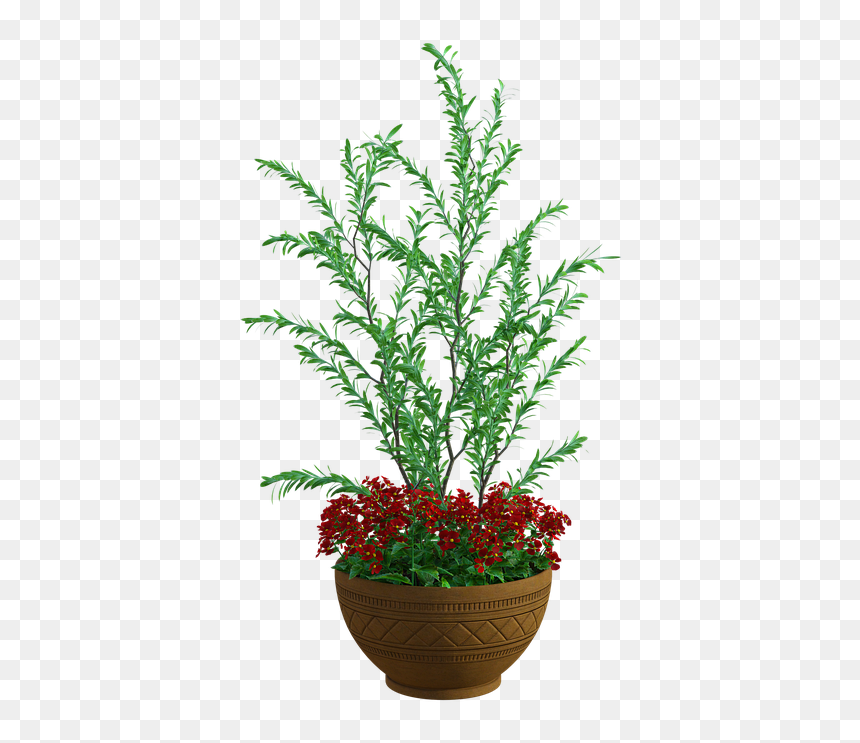Houseplant, HD Png Download - planter png