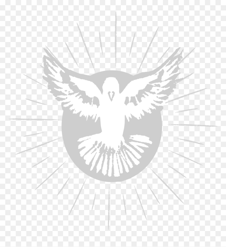 Spirit-dove - Bald Eagle, HD Png Download - white dove png