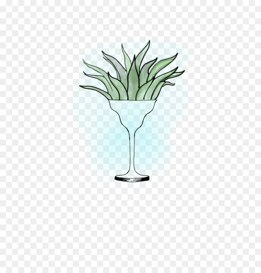 Champagne Stemware, HD Png Download - agave png