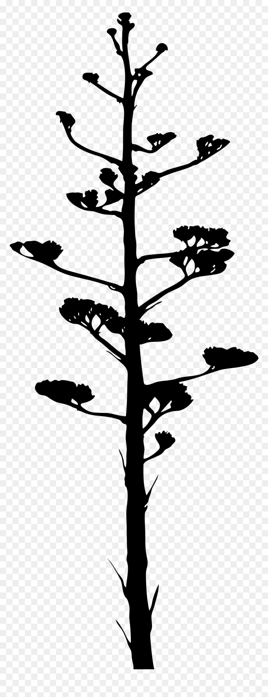 Agave Bloom Clip Arts - Arbol De La Pita, HD Png Download - agave png