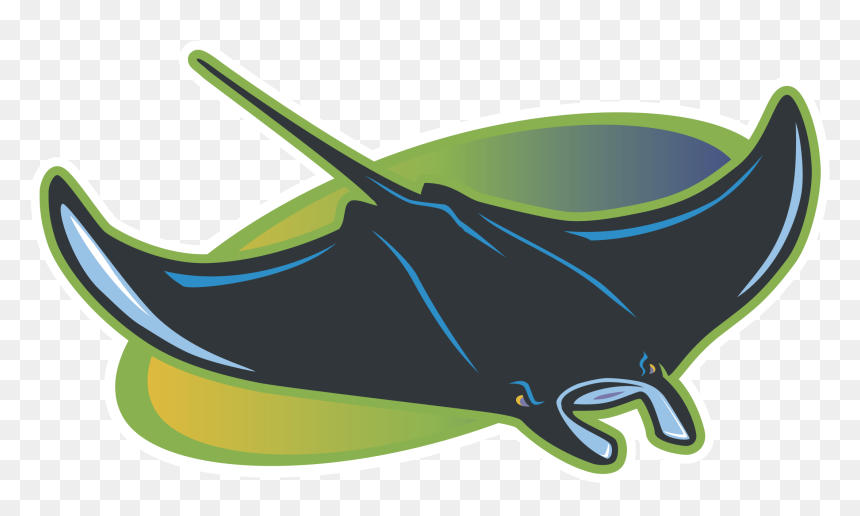 Tampa Rays Logo Png, Transparent Png - rays png