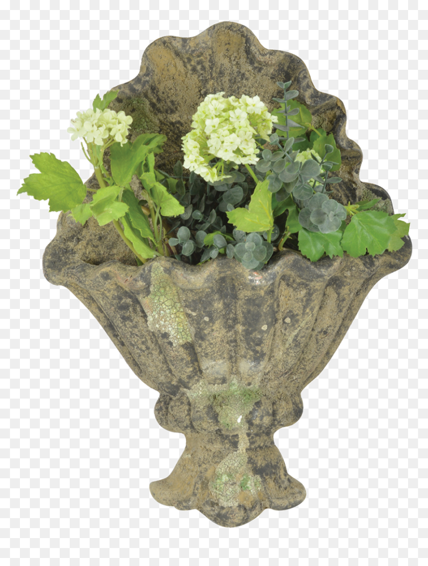 Ac Wall Planter Moss - Flowerpot, HD Png Download - planter png
